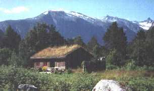 Cabin 1